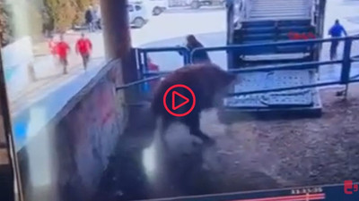 Boğa saldırısına uğrayan mezbaha çalışanı öldü