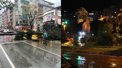 Rize ve Zonguldak'ta fırtına: Ağaçlar devrildi, çatılar uçtu