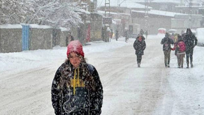Van, Hakkari, Bitlis ve Muş'ta 472 köy ve mezranın yolu kapandı