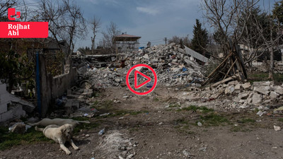 Depremde ikiye bölünen Ördekdede Köyü yardım bekliyor: 'Birkaç gün geldiler sonra unuttular bizi'