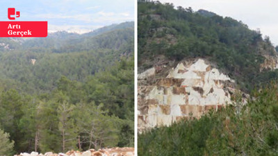 35 bin ağaç kesilmekten kurtuldu: Muğla'da ormanlık alana planlanan mermer ocağına mahkemeden ret