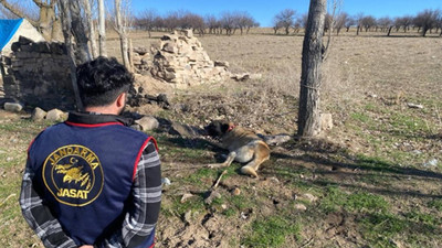 Nevşehir'de köpek dövüştürüp, yasa dışı bahis oynayan 9 kişiye gözaltı