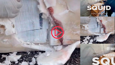 Portekiz'de dondurulmuş balıklardan 1.3 ton kokain çıktı