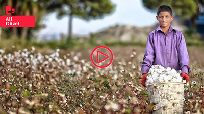 AKP Urfa il başkanına göre mevsimlik işçiler tatil yapıyor