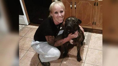 Köpekler sahibini yedi