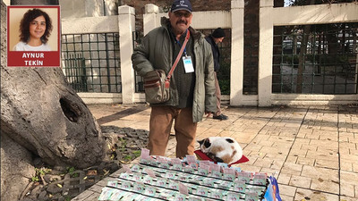 'Talih kuşu hiç konmasa daha iyi'