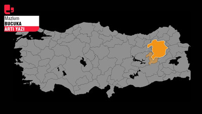 Haritadaki turuncu delik: Kürt siyaseti neden Bingöl'de kazanamıyor?