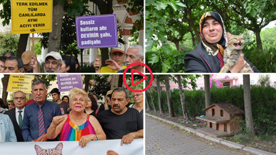 Adana'da kedilere bakan cami imamına sürgün