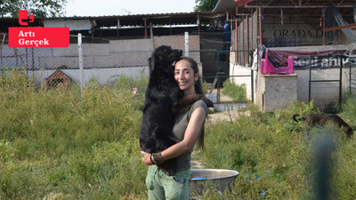 Hayvanlar için barınak kuran Selen Usta destek bekliyor: Bir köpeğe sponsor olabilir, sahiplenebilirsiniz