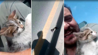 Ezilmekten kurtardığı kediye 'Refüj' adını verdi