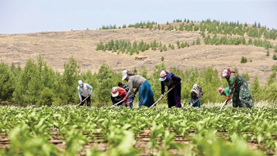 CHP'li Gürer'den ‘sabır’ isteyen Bakan Şimşek’e: Tarladaki ürünler sabretmiyor