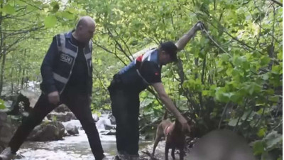 Giresun'da 50 gün önce 'kaybolan' Durmuş Demir ölü bulundu