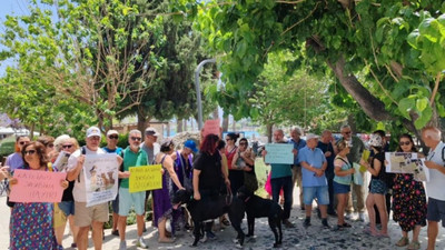 Muğla'da sokak hayvanları için eylem: Yasa tasarısı katliam öngörüyor