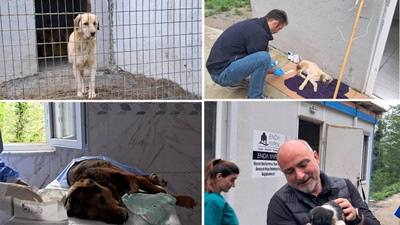 Hopa Belediyesi kısırlaştırma seferberliğine başladı: Öldürmenin değil yaşatmanın örneğini gösteriyoruz