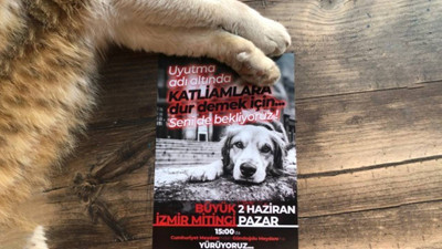 Katliam düzenlemesine karşı 2 Haziran'da İstanbul ve İzmir'de miting: Hayvanları sistemin kanlı ellerine bırakmayacağız