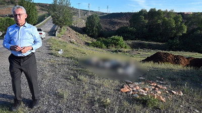 Yozgat'ta katliam: 20'den fazla sokak köpeği, iğne ile öldürülerek yol kenarına atıldı