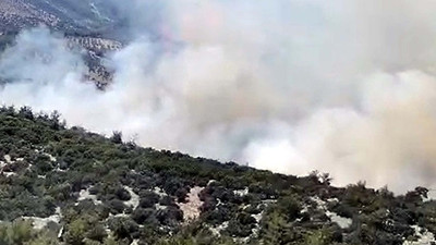 Muğla'daki orman yangınının çıkış nedeni, sigara izmariti