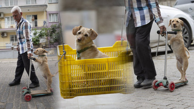 Köpeğini skuterle gezdirip salıncağa bindiriyor: 'Yedi torun var bir de bu sekiz oldu'