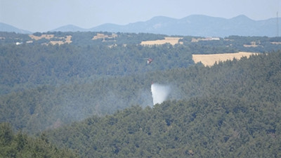 Çanakkale'de orman yangını: Kontrol altına alındı