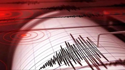 Muş ve Erzurum'da deprem