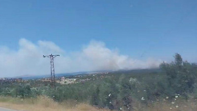 Çanakkale'de yangın: Tarım arazisinde çıkan yangın büyüyor