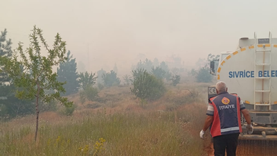 Elazığ’da ormanlık alanda çıkan yangın kontrol altına alındı