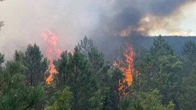 Ege yanıyor: Manisa'da 145 ev boşaltıldı