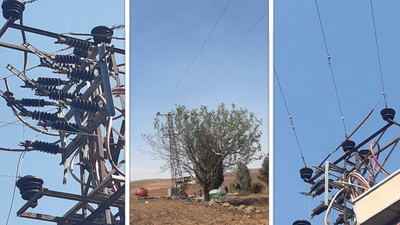 Elektrik Mühendisleri Odası Yangın raporu: 'Yangın bölgesinde anız yok, iletim hatlarında önlem alınmamış'