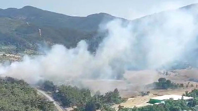 İzmir’de orman yangını