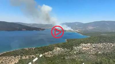 Muğla Milas'ta orman yangını