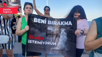 Mersin'de hayvanseverler sokak hayvanları için eylem yaptı: 'Saldırmasın mı istiyorsunuz? O zaman kısırlaştırın'