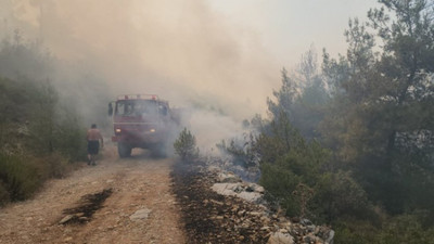 Bodrum'da orman yangını