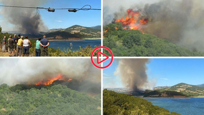 Çanakkale'deki orman yangınında ikinci gün