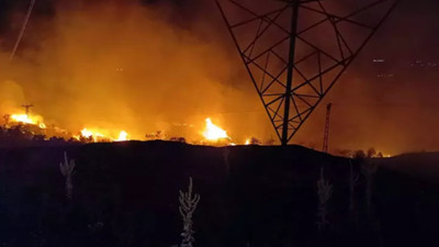 Bingöl’de ormanlık alanda çıkan örtü yangını söndürüldü