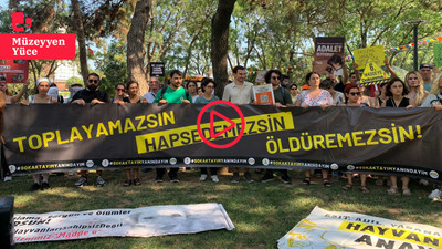 Hayvan hakları savunucuları İstanbul’da eylemde: 'Yasayı sokakta biz yazacağız'