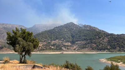 Muğla'nın Milas ilçesindeki orman yangını söndürüldü