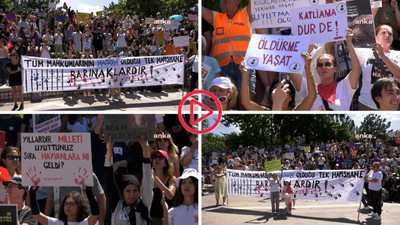 Hayvanseverler Anıtpark'ta eylemde: 'Onların sesi olmak zorundayız'