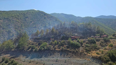 Hatay'daki orman yangını kontrol altına alındı