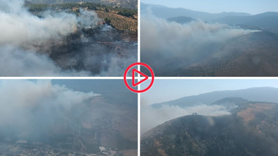 Hatay'da orman yangını