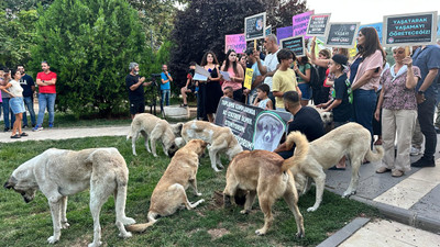 Dersim'de 'katliam yasası'na karşı açıklamaya köpekler de katıldı: 'Dokuz belediye de yasayı uygulamayacak'