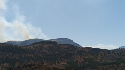 Dersim'de orman yangını