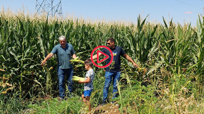 Diyarbakır Yenişehir Ziraat Odası Başkanı İskenderoğlu: 'Bakan konuşunca kendimi başka bir ülkede yaşıyor sanıyorum'