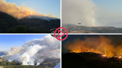 Aydın, Manisa ve Bolu'da orman yangınları