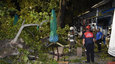 Kemalpaşa'da asırlık çınar ağacı kahvehaneye düştü: İkisi ağır dokuz yaralı