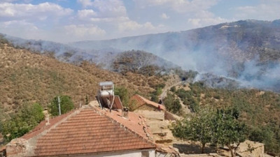 İzmir ve Uşak'ta orman yangını