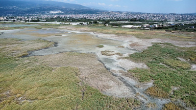 Yüz binlerce kuşun son sığınağı Milleyha: Yine çöp yığınları yükseliyor