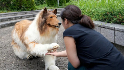 Binlerce dolar harcayıp köpek olmuştu! Olay adam ilk kez yüzünü gösterdi