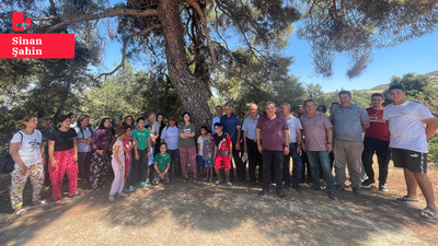 Künesler mezrası hukuk mücadelesini kazandı: Yargı orman katliamına 'dur' dedi