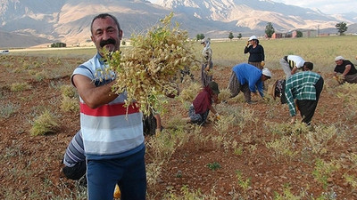 Hükümet şimdi de Ovacık'a göz dikti