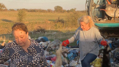 Kırklareli'ndeki barınakta hayvan ölümleri: Bu hayvanlar sokakta değil bakımevindeydiler